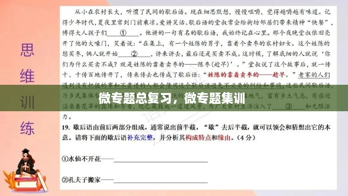 微專題總復習，微專題集訓 