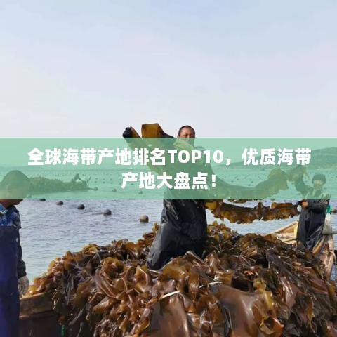 全球海帶產(chǎn)地排名TOP10，優(yōu)質(zhì)海帶產(chǎn)地大盤點(diǎn)！