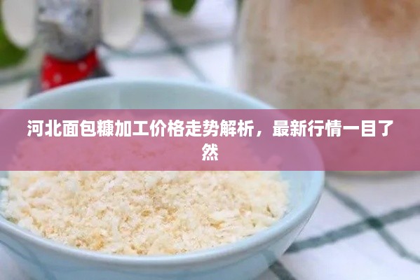 河北面包糠加工價格走勢解析，最新行情一目了然