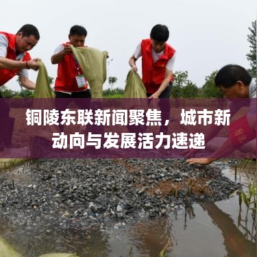 銅陵?yáng)|聯(lián)新聞聚焦，城市新動(dòng)向與發(fā)展活力速遞