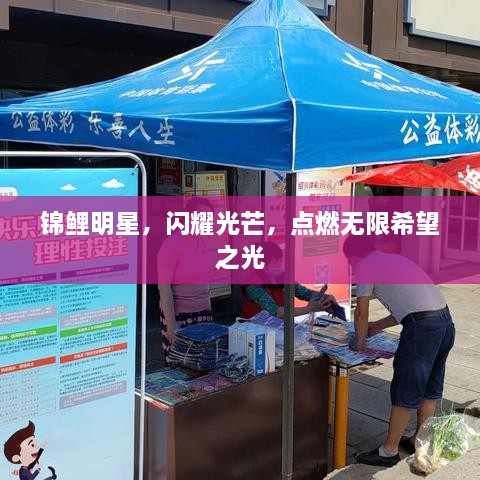 錦鯉明星，閃耀光芒，點(diǎn)燃無限希望之光