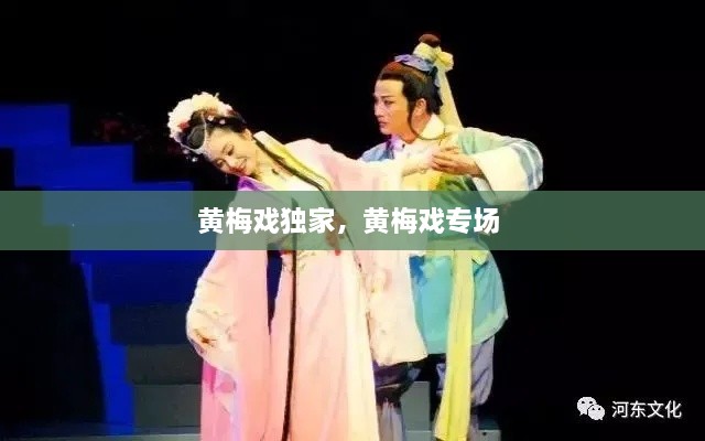 黃梅戲獨(dú)家，黃梅戲?qū)?chǎng) 