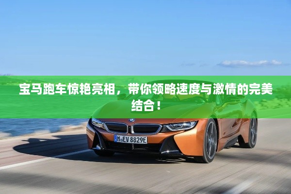 寶馬跑車驚艷亮相，帶你領(lǐng)略速度與激情的完美結(jié)合！