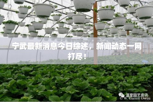 寧武最新消息今日綜述，新聞動(dòng)態(tài)一網(wǎng)打盡！