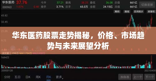 華東醫(yī)藥股票走勢(shì)揭秘，價(jià)格、市場(chǎng)趨勢(shì)與未來展望分析