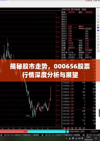 揭秘股市走勢(shì)，000656股票行情深度分析與展望