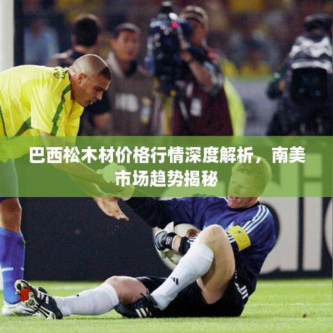 巴西松木材價(jià)格行情深度解析，南美市場趨勢揭秘