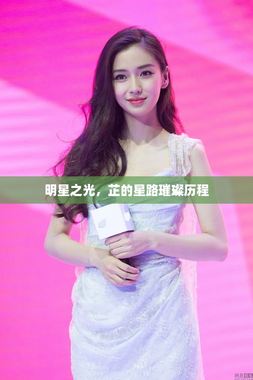 明星之光，芷的星路璀璨歷程