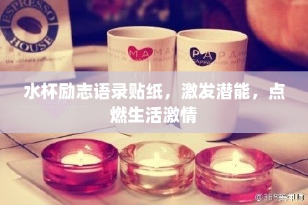 水杯勵志語錄貼紙，激發(fā)潛能，點(diǎn)燃生活激情