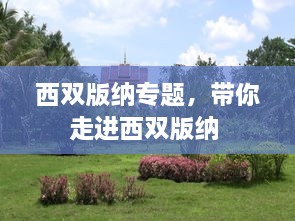 西雙版納專題，帶你走進西雙版納 