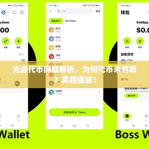 光遇代幣問題解析，為何代幣未到賬？真相揭秘！