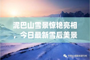 泥巴山雪景驚艷亮相，今日最新雪后美景報(bào)道！