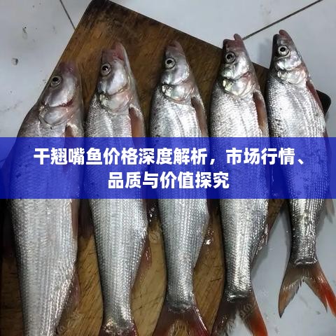 干翹嘴魚(yú)價(jià)格深度解析，市場(chǎng)行情、品質(zhì)與價(jià)值探究