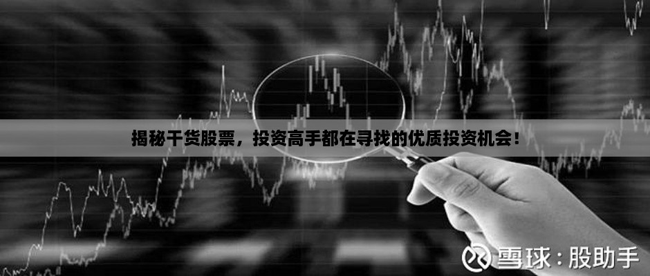揭秘干貨股票，投資高手都在尋找的優(yōu)質(zhì)投資機(jī)會！