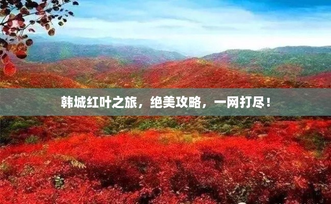 韓城紅葉之旅，絕美攻略，一網(wǎng)打盡！