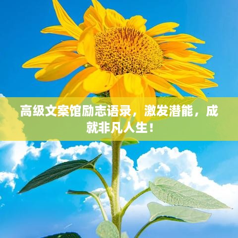 高級(jí)文案館勵(lì)志語(yǔ)錄，激發(fā)潛能，成就非凡人生！