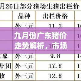 九月份廣東豬價走勢解析，市場行情、價格變動一網(wǎng)打盡