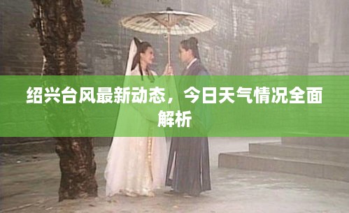 紹興臺風最新動態(tài)，今日天氣情況全面解析