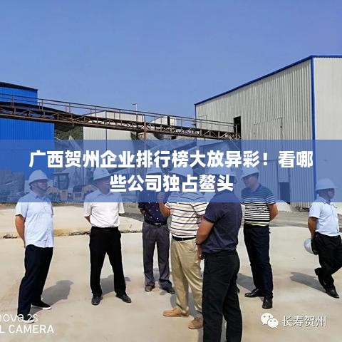 廣西賀州企業(yè)排行榜大放異彩！看哪些公司獨(dú)占鰲頭