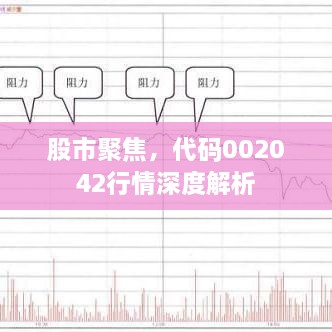 股市聚焦，代碼002042行情深度解析