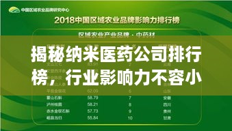 揭秘納米醫(yī)藥公司排行榜，行業(yè)影響力不容小覷！