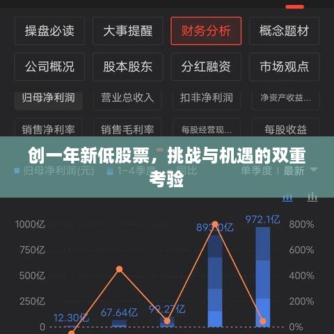 創(chuàng)一年新低股票，挑戰(zhàn)與機(jī)遇的雙重考驗(yàn)