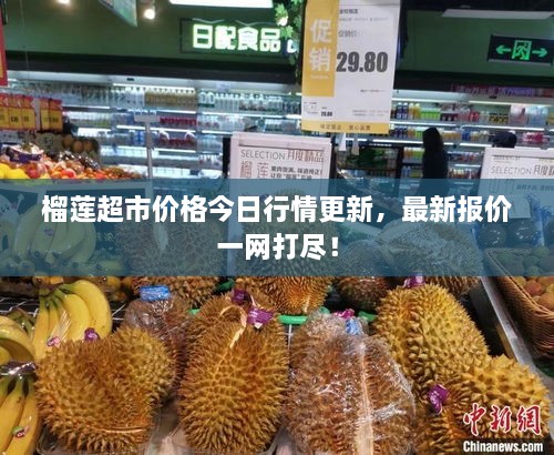 榴蓮超市價格今日行情更新，最新報價一網(wǎng)打盡！