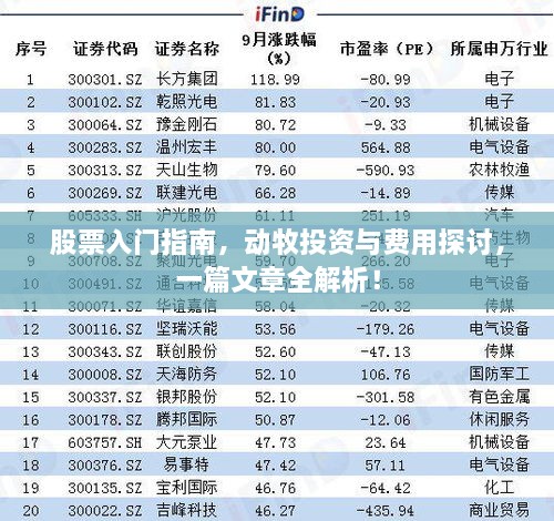 股票入門指南，動牧投資與費用探討，一篇文章全解析！