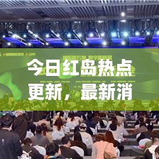 今日紅島熱點(diǎn)更新，最新消息一覽