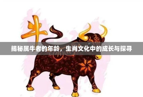 揭秘屬牛者的年齡，生肖文化中的成長(zhǎng)與探尋