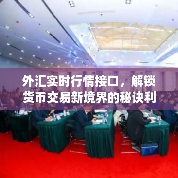 外匯實時行情接口，解鎖貨幣交易新境界的秘訣利器