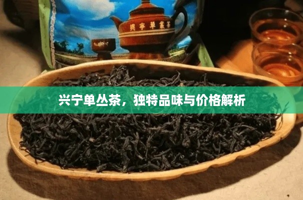 興寧單叢茶，獨特品味與價格解析