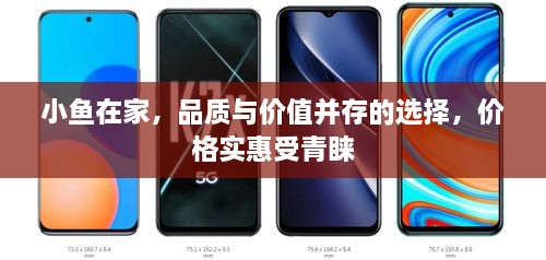 小魚在家，品質(zhì)與價值并存的選擇，價格實惠受青睞