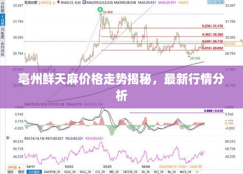 亳州鮮天麻價格走勢揭秘，最新行情分析
