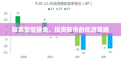 股票型型基金，投資股市的優(yōu)選策略