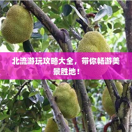 北流游玩攻略大全，帶你暢游美景勝地！