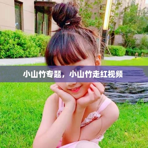 小山竹專題，小山竹走紅視頻 