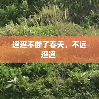 迢迢不斷了春天，不遠(yuǎn)迢迢 