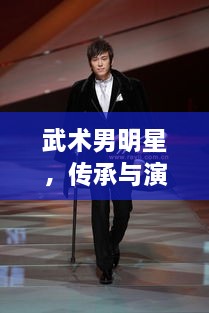 武術(shù)男明星，傳承與演繹的魅力展現(xiàn)