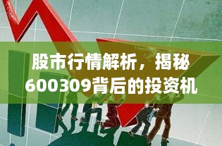 股市行情解析，揭秘600309背后的投資機(jī)會(huì)與挑戰(zhàn)