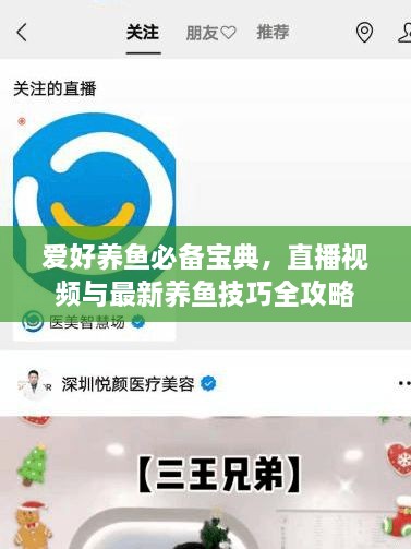 愛好養(yǎng)魚必備寶典，直播視頻與最新養(yǎng)魚技巧全攻略
