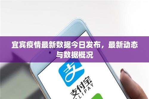 宜賓疫情最新數(shù)據(jù)今日發(fā)布，最新動態(tài)與數(shù)據(jù)概況