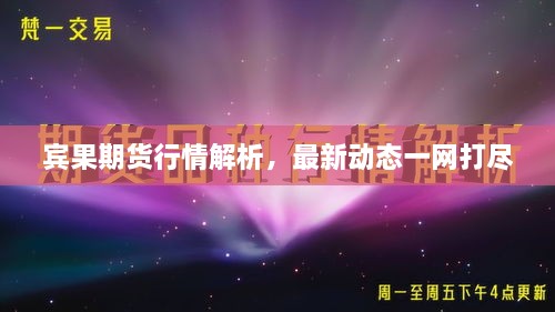 賓果期貨行情解析，最新動(dòng)態(tài)一網(wǎng)打盡