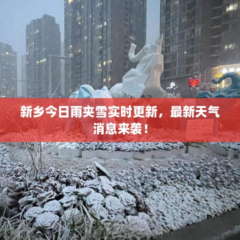 新鄉(xiāng)今日雨夾雪實(shí)時(shí)更新，最新天氣消息來襲！