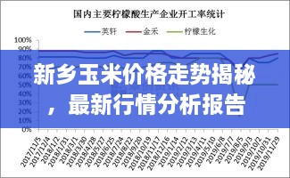 新鄉(xiāng)玉米價格走勢揭秘，最新行情分析報告