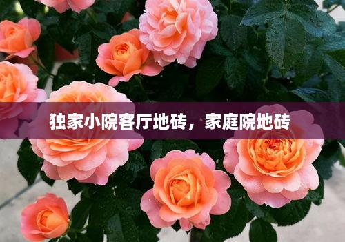 獨家小院客廳地磚，家庭院地磚 
