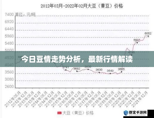 今日豆情走勢(shì)分析，最新行情解讀