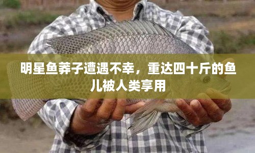明星魚(yú)莽子遭遇不幸，重達(dá)四十斤的魚(yú)兒被人類享用
