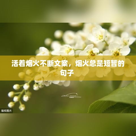 活著煙火不斷文案，煙火總是短暫的句子 
