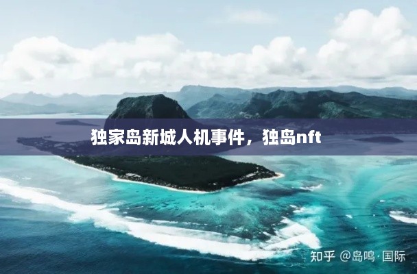 獨家島新城人機(jī)事件，獨島nft 